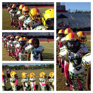 rattlers