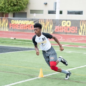 Lacarea Pleasant-Johnson 2019 WR 